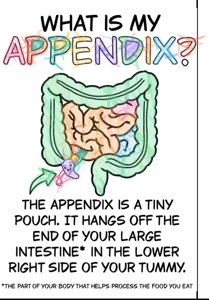 A colored-in activity page explaining what an appendix is